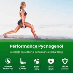 NutraChamps Pycnogenol bottle with black pepper extract for better absorption.