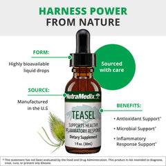 NutraMedix Teasal Extract Fuller’s Teasel root tincture close-up