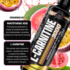 Nutrex Liquid Carnitine 3000 glass with ice suggests a refreshing, sugar-free energy boost