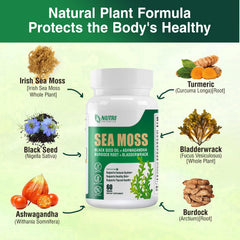 NUTRI POTENTIA ashwagandha sea moss capsules packaging highlighting daily calm support.