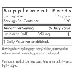 Close-up of Nutricology Laktoferrin capsules showing size for easy daily use.