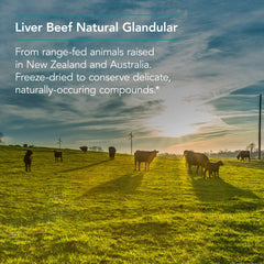 Nutricology Liver Beef Vegi Caps packaging on store shelf