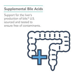 Nutricology Ox Bile 125 mg visual illustrating digestion process