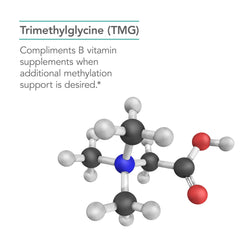 Nutricology TMG capsule close-up shows vegetarian capsule.