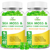 OALSE Sea Moss Gummies bottle showing high potency blend for daily wellness