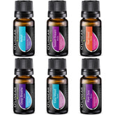 O'Linear essential oils six-blend gift set packaging on display.