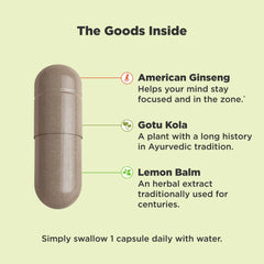 OLLY Focus capsules close-up show compact, convenient support for concentration.