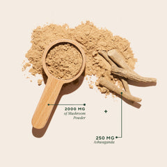 Scoop measuring a serving of OM Master Blend for easy daily use