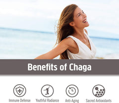 OM Mushroom Superfood Chaga powder scoop demonstrates simple daily dosing for consistent use.