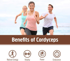 Cordyceps powder in coffee demonstrates versatile morning ritual without jitters.