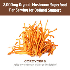 Smoothie glass enhanced with cordyceps powder for daily vitality
