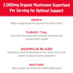 Seven-species blend image from OM Mushroom Superfood for flavor variety.