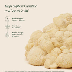OM Mushroom Lion's Mane dosage illustration highlighting 2,000 mg per serving