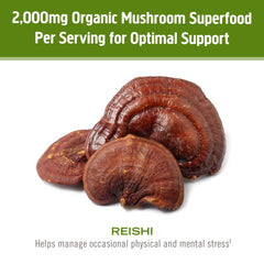 Om Mushroom Reishi powder in a smoothie for daily wellness support