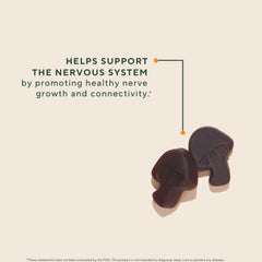 OM Mushroom Superfood Lions Mane gummies strawberry flavor close-up emphasizes tasty daily brain support.