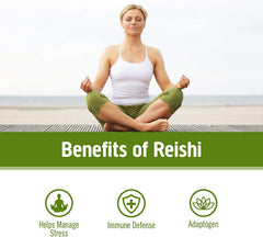 Reishi label close-up from OM MUSHROOM SUPERFOOD highlighting organic ingredients.