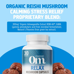Key ingredients visual featuring reishi, ashwagandha, GABA, and magnesium