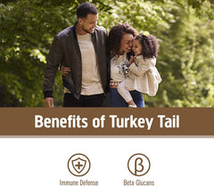Om Mushroom Turkey Tail powder on a spoon shows 2,000mg serving.