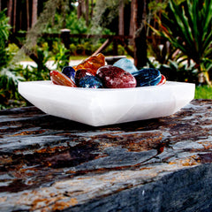 Om Zone selenite bowl displaying a crystal collection for stylish organization.