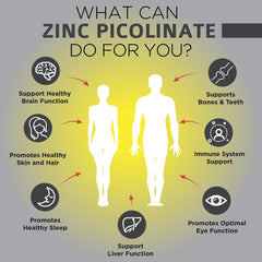 OmniBiotics zinc picolinate capsule on white background for vegan supplement.