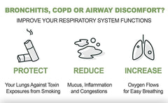 Nettle root ingredient in Omnite blend for respiratory balance.