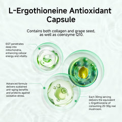 ONOTIC Ergothioneine supplement capsules-closeup highlighting potency for daily wellness.