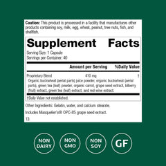 OPC Synergy ingredients close-up highlight antioxidant-rich components for daily vitality.