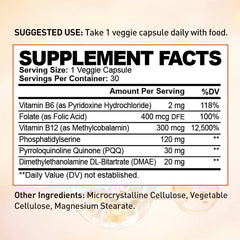 Oppuland phosphatidylserine ingredients label clearly lists natural components.