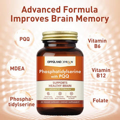 Close-up of Oppuland PSS-PQQ capsules highlighting memory support potential.