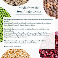 Ora Organic vegan protein powder with 16 superfoods and micronutrients
