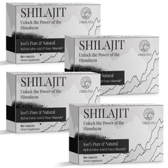 ORBILIVE Shilajit tablets bottle front view for daily energy support