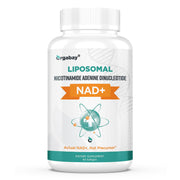 Orgabay Liposomal NAD+ bottle highlights high-absorption formulation for daily energy.