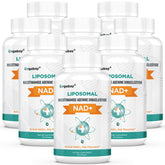 Orgabay liposomal NAD+ 500 mg bottle demonstrates high absorption for daily energy support.