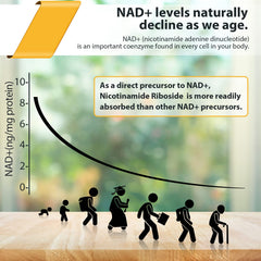 Orgabay pterostilbene with TMG on label signaling premium NAD+ optimization options.