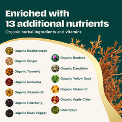Organibly ashwagandha-turmeric capsules emphasize stress relief and daily vitality options.