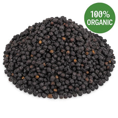 Organic Bio Herbs elderberry fruit jar on shelf for easy pantry storage and measured use.