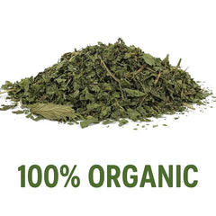 Organic Bio Herbs nettle tea brew in cup with inviting aroma.