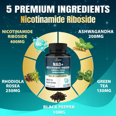 Organic Cadane ingredient blend with Rhodiola and Ashwagandha signals synergy