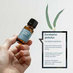 Diffuser setup with Organic Eucalyptus Globulus Essential Oil for revitalizing ambiance.