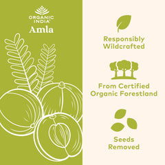 Close-up of ORGANIC INDIA Amla capsules showing natural color and smooth texture.
