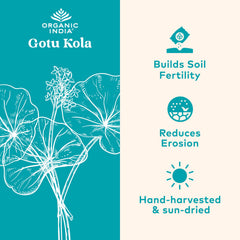 Organic India Gotu Kola bottle front for daily adaptogen routine.