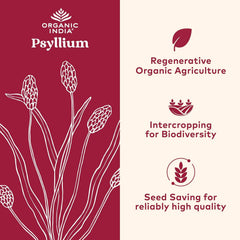 Organic India Psyllium powder scoop close-up shows measurement ideal for daily fiber intake.