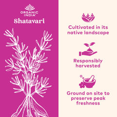Herbal Shatavari plant imagery conveys traditional wellness in modern use.