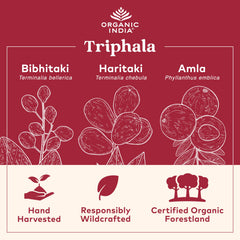Organic India Triphala label close-up showing Amla Bibhitaki Haritaki blend for balanced digestion.