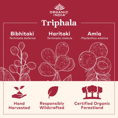 Organic India Triphala packaging and capsules