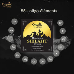 ORGANIC SPREE shilajit resin spoon close-up highlighting texture for precise dosing.