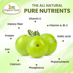 Organic Veda Amla capsules being poured for easy daily dosing.