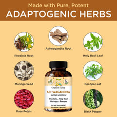 Organic Veda herbal blend bacopa and rhodiola highlights potential cognitive support