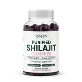 Organics Ocean Shilajit gummies in a bottle show premium energy support.