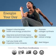 Organifi Shilajit Gummies serving two demonstrates a simple daily dose.
